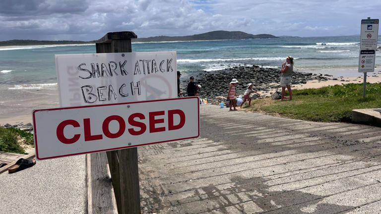 Surfer bitten by shark at Point Plomer on NSW Mid North Coast