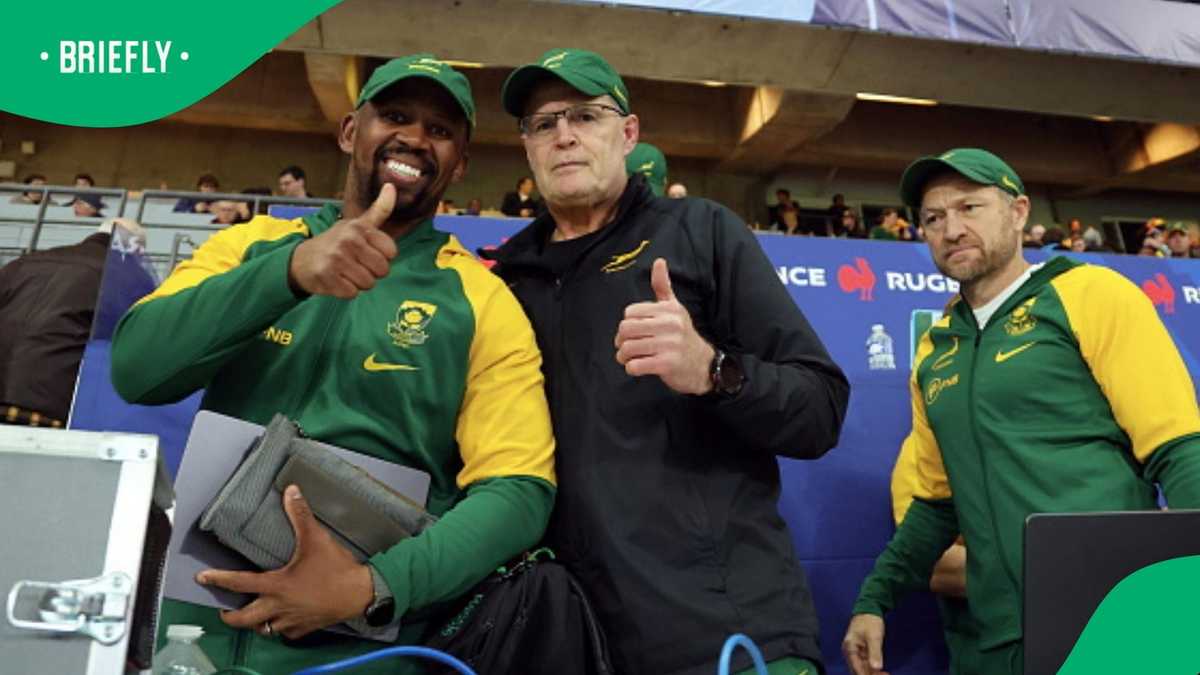 Springboks at risk as Tony Brown eyes move to All Blacks, analyst warns