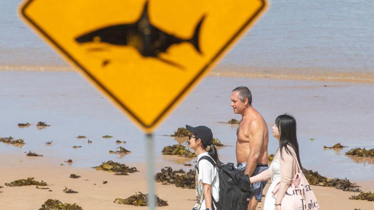Beachgoers at Queenscliff Beach walk past a shark‑sighting sign in Sydney, Australia, on January 20, 2026. - Jeremy Piper/Reuters