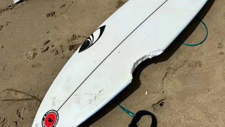 The surfboard belonging to the unharmed 11-year-old at Dee Why Point. - Manly Observer