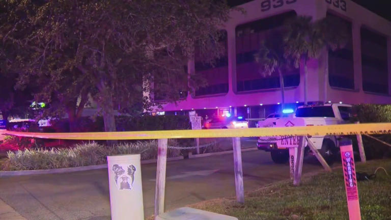 Orange County mental health counselor, 44, killed in stabbing by former ...
