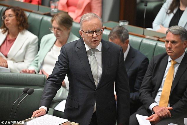 Albo explodes during Question Time after being accused of making up ...
