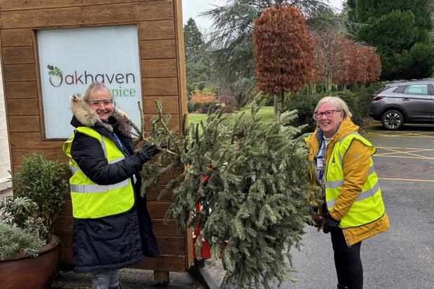 Hospice's Christmas tree recycling scheme raises thousands