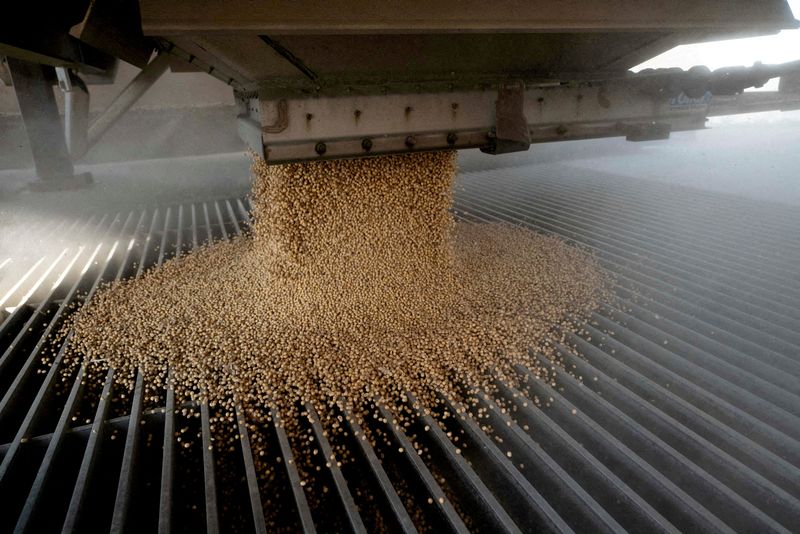 China hits 12 million ton US soybean target pledged in trade truce<br><br>