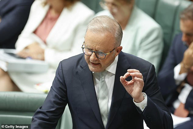 Albo explodes during Question Time after being accused of making up ...