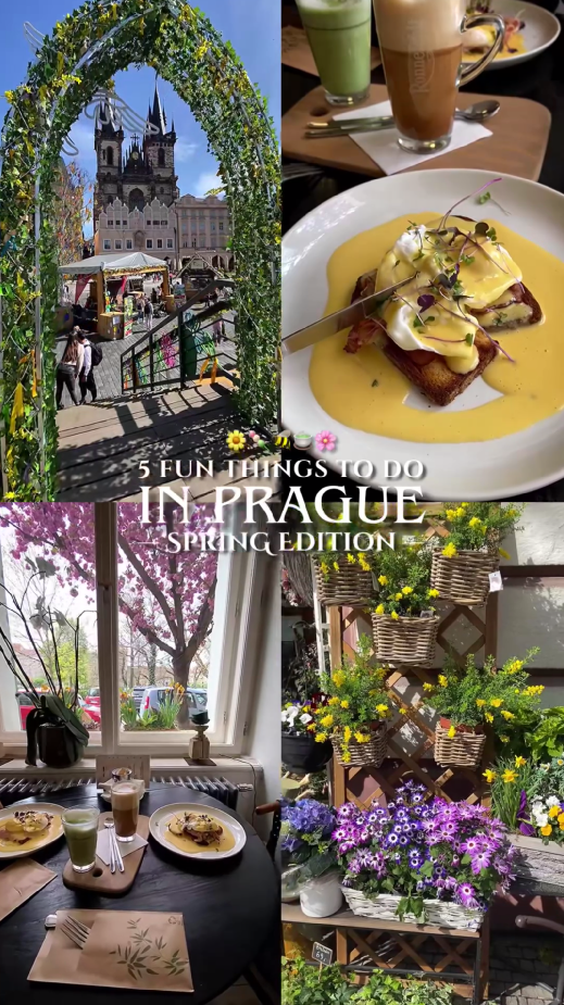 Essential Prague travel guide with top attractions<br>
