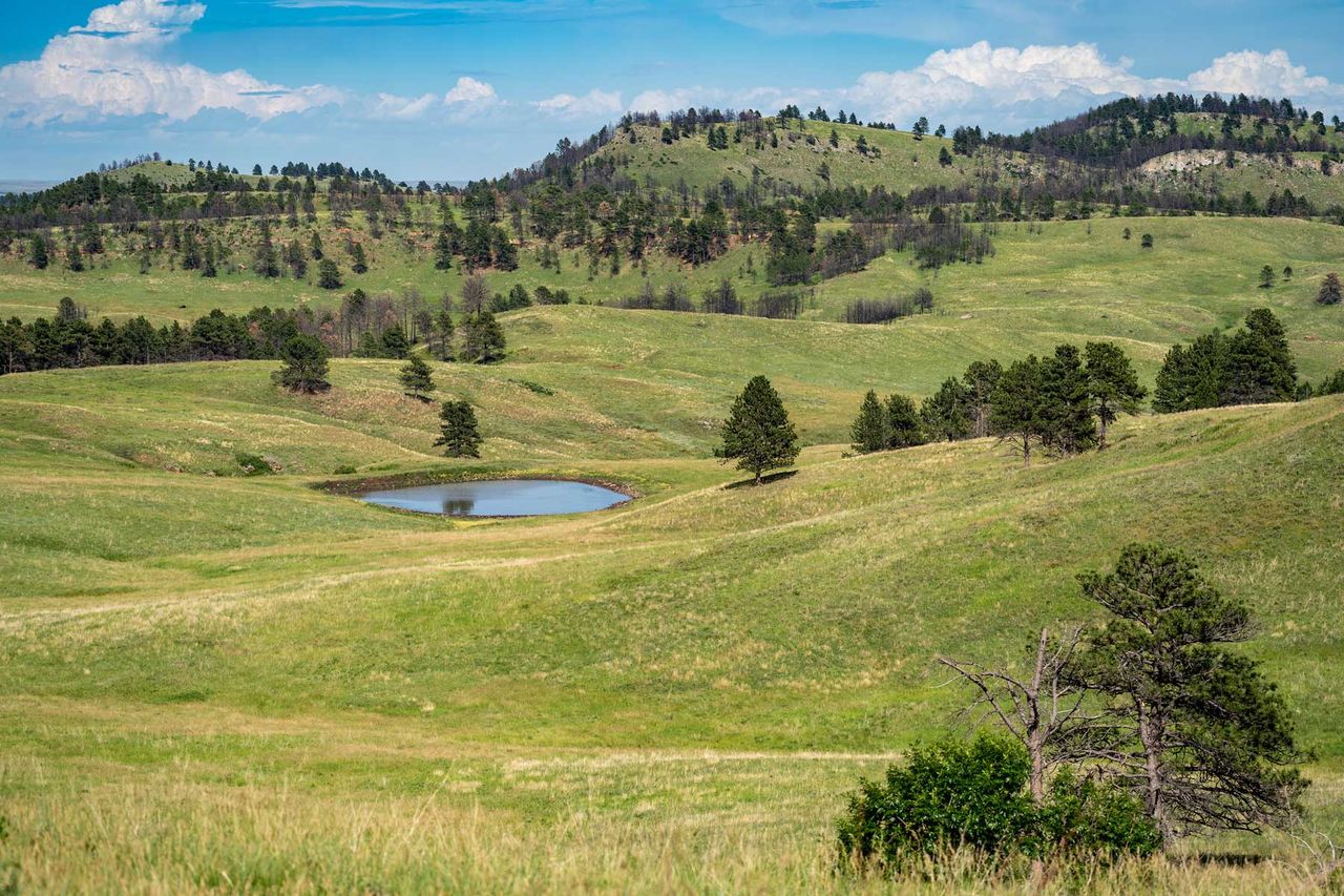Pond with rolling hills in Custer State Park in South Dakota