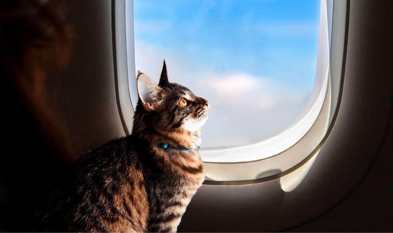 The Changes In The Rule 