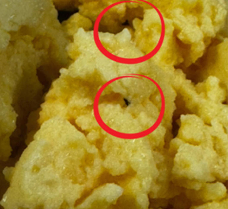 Maggot-infested meals bring $1B construction project to a standstill ...