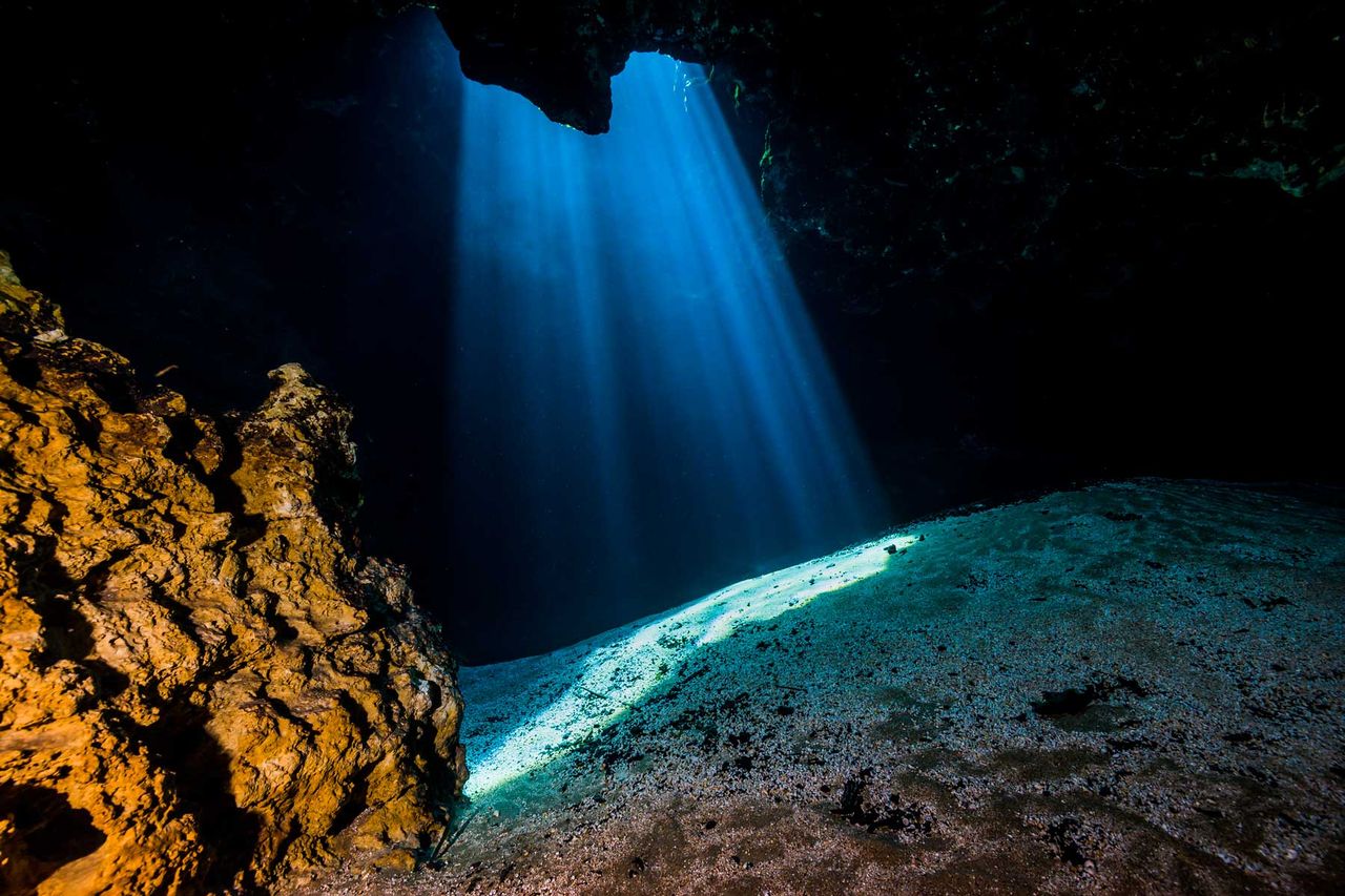 Light filters through Jug Hole, Ichetucknee Springs State Park in Florida.