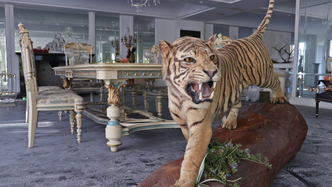 They preserved the art but lost the estate… decay took over