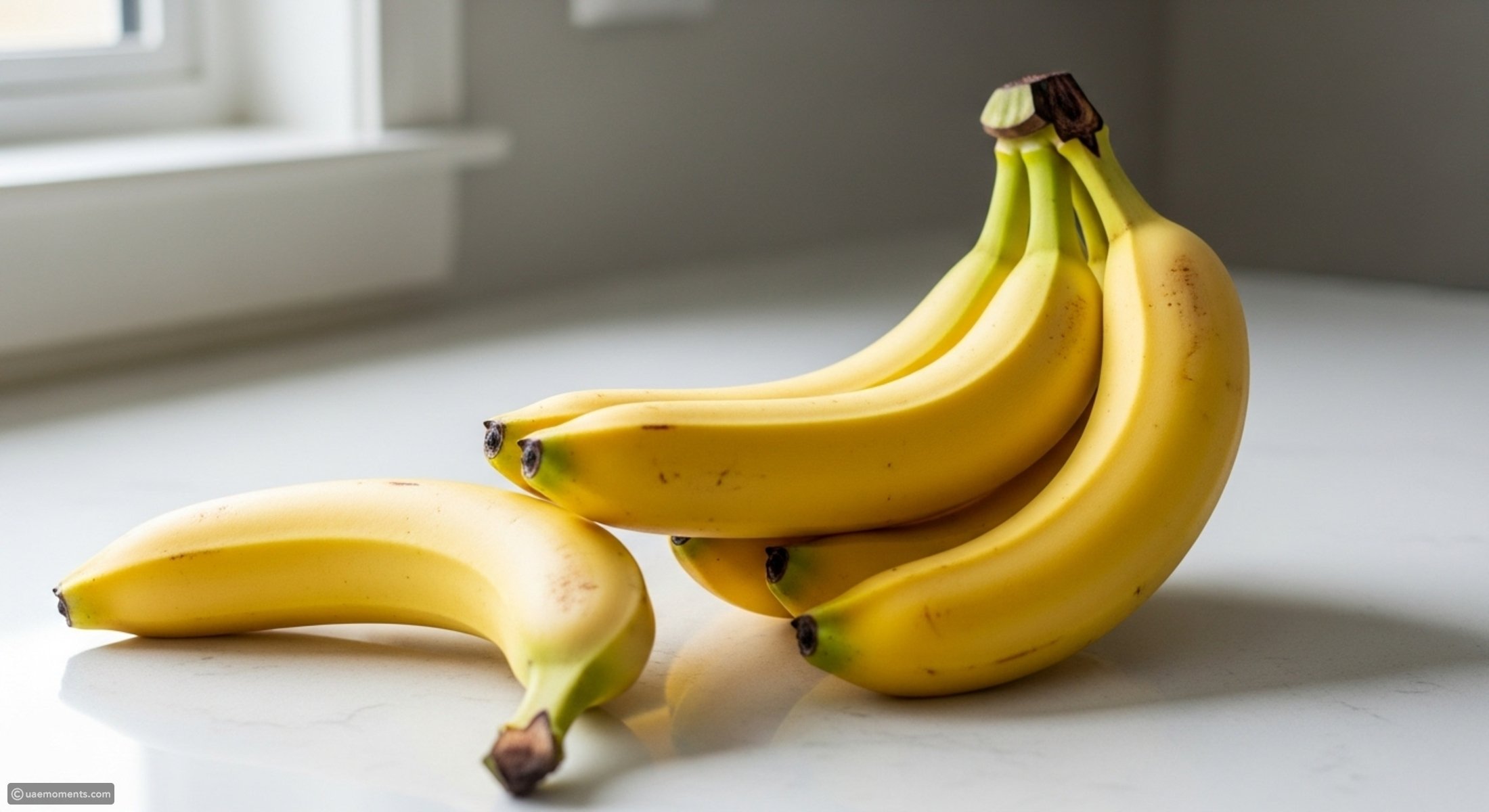 8 real-life facts that sound totally fake but are absolutely true