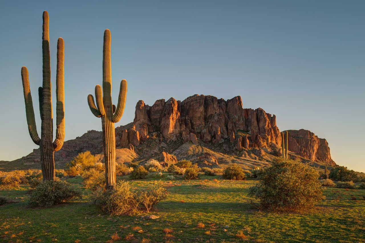Lost Dutchman State Park, east of Phoenix, Arizona.