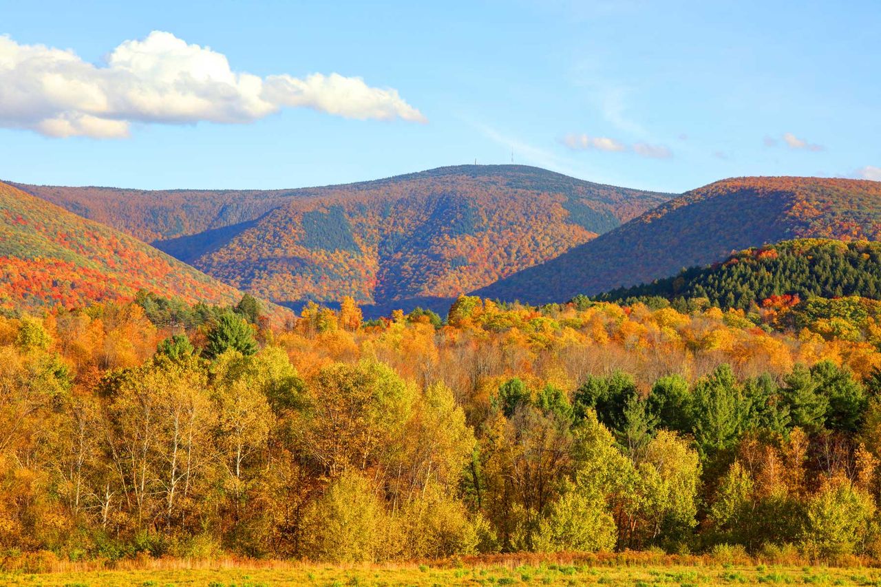 Mount Greylock is a 3,489 feet mountain located in the northwest corner of Massachusetts and is the highest point in the state.