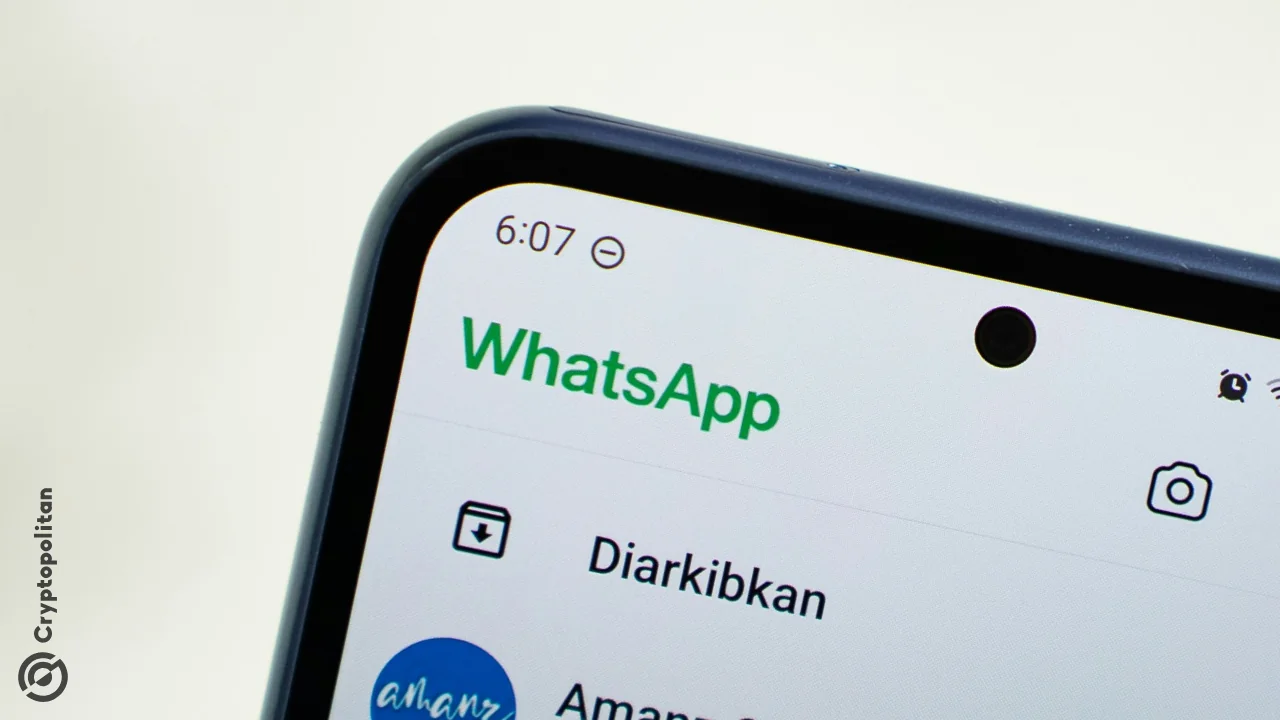 WhatsApp Web develops group voice and video calls