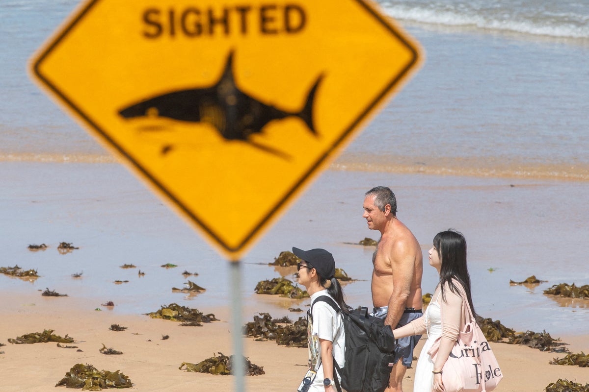 Australia closes dozens of beaches after 4th shark attack in 48 hours<br>