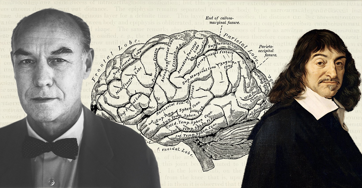These amazing discoveries overturned everybody's beliefs about the brain