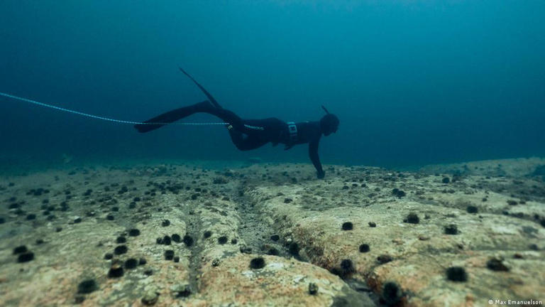 How bringing back a humble algae to Arctic waters makes all the difference