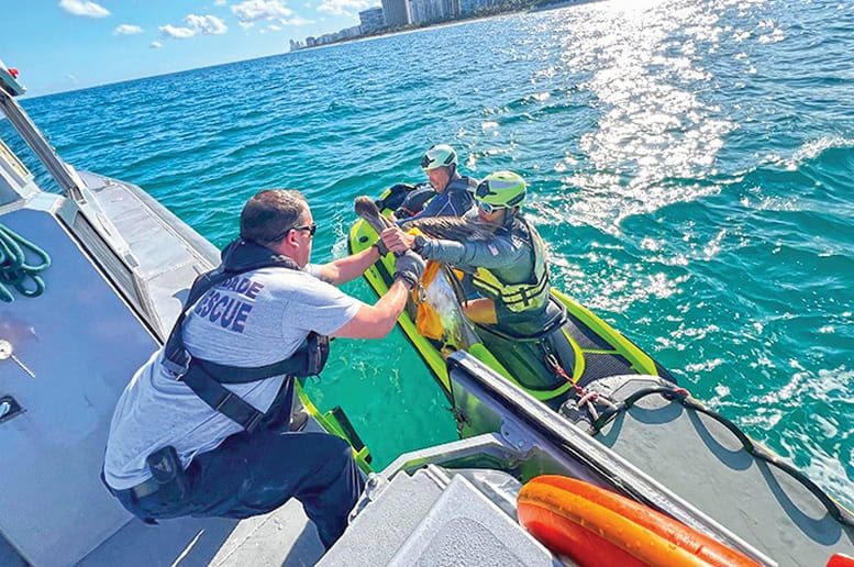 Miami-Dade Fire Rescue rescues, releases pelican