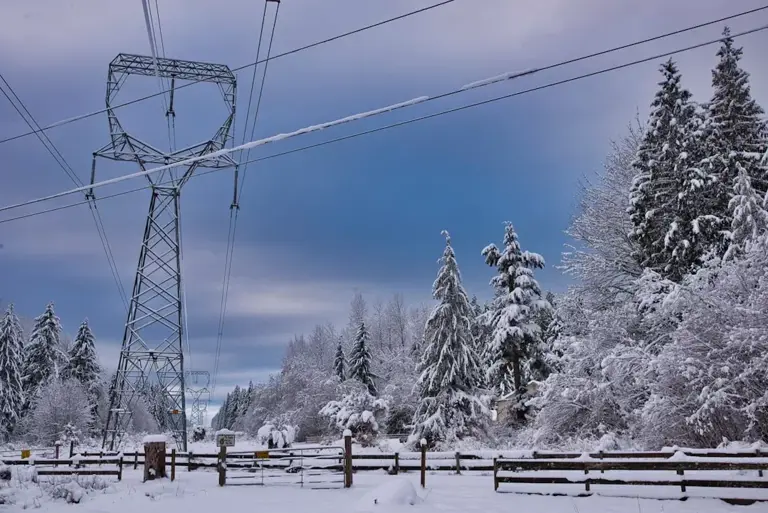 13 dead as massive winter storm slams US., extreme cold follows - USA ...
