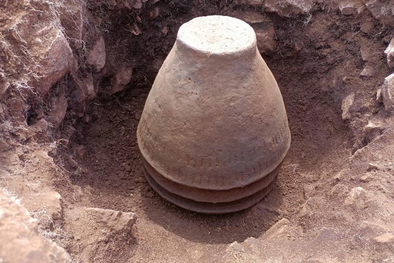 Northumberland National Park dig uncovers Bronze Age settlement