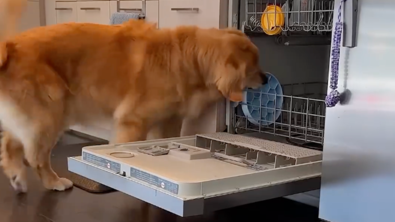 This Training Choice Backfired