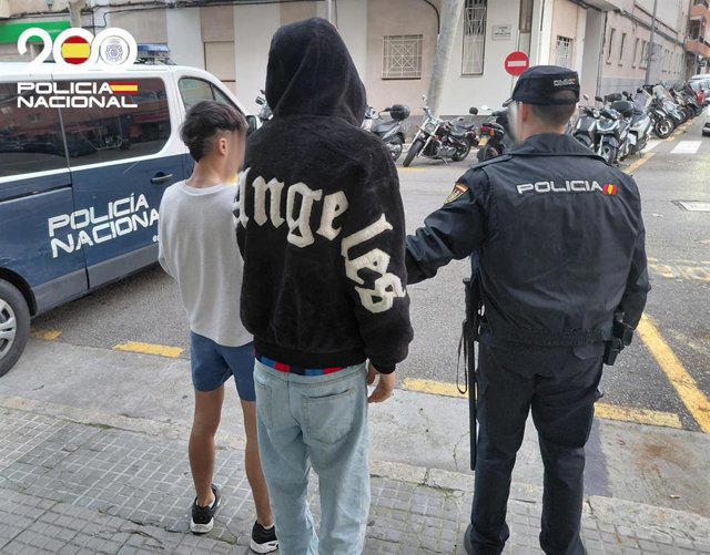 Detenidos dos jóvenes por agredir a una mujer para robarle el bolso en ...