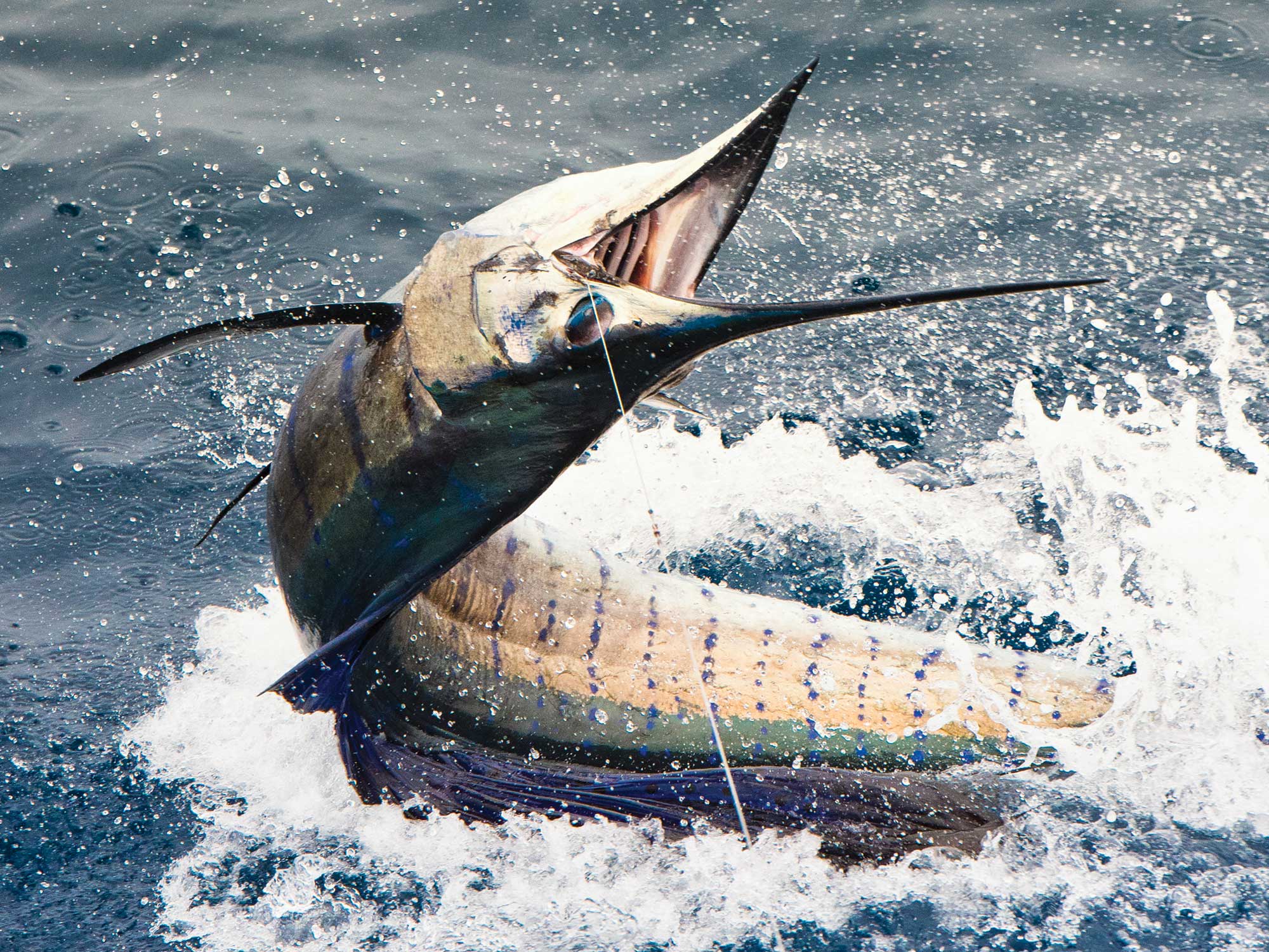 Advancements in fishhook design