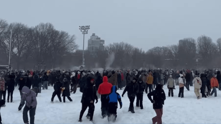 New Yorkers brave winter storm for epic snowball fight