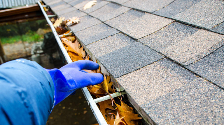 5 reasons why your backyard is flooding (& how to prevent it)