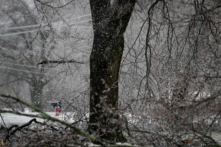 Winter storm kills 11, leaves 800,000+ without power as cold tightens grip
