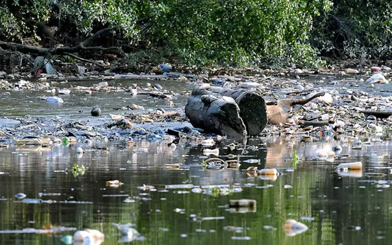33 rivers categorised as polluted, up from 25 in 2023