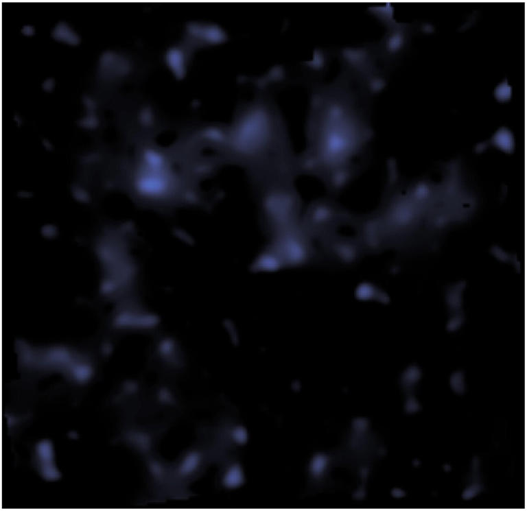 In 2007, astronomers produced the first detailed map of the hidden dark matter of the COSMOS field. By measuring how gravity from unseen matter bends the light of background galaxies, the map shows how dark matter is distributed and acts as the hidden framework on which visible galaxies are built. Credit: NASA, ESA and R Massey (California Institute of Technology).