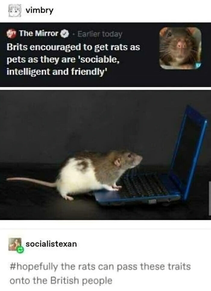 33 Funny Memes That Perfectly Capture British Humor, As Shared On This Online Group