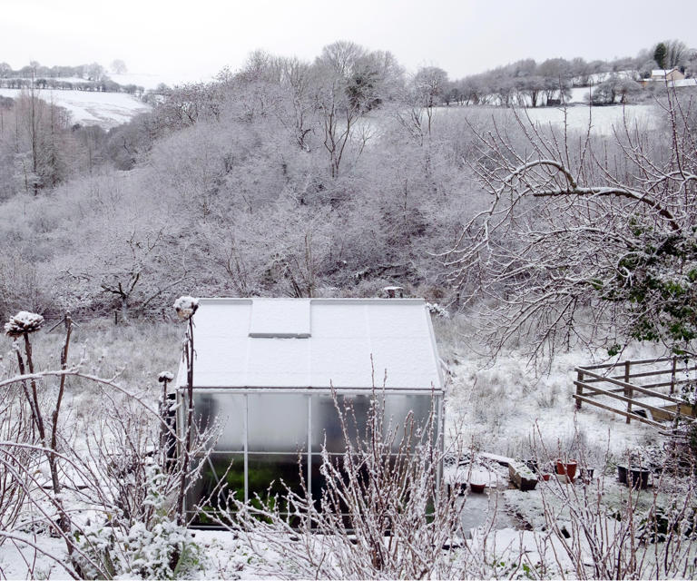 Your greenhouse might collapse if snow isn’t cleared: How to do it safely