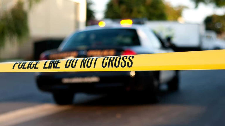 Pedestrian killed in Madeira Beach, driver arrested on manslaughter charge