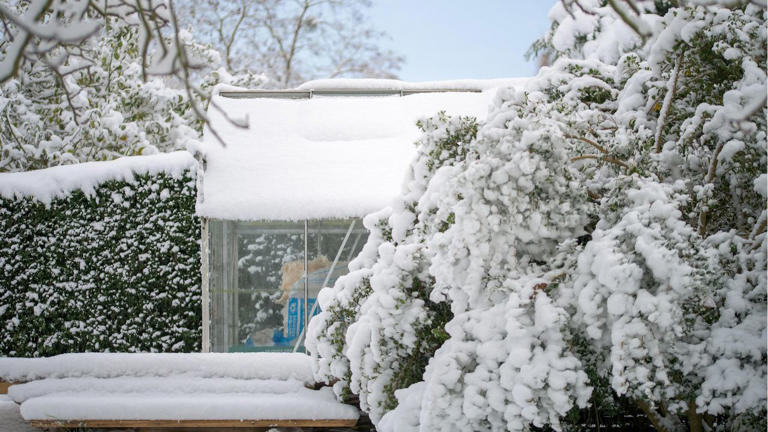 Your greenhouse might collapse if snow isn’t cleared: How to do it safely