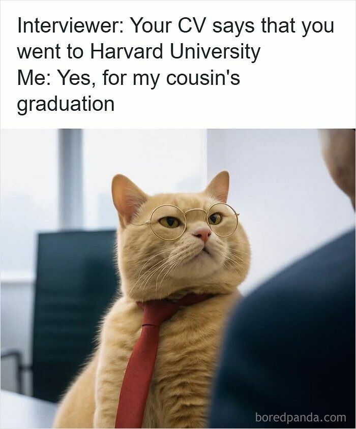 52 Hilarious Resume Memes That Might Be Painfully Relatable