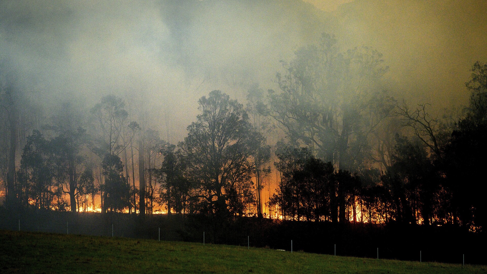 Victoria braces for potential record-breaking heat as bushfire threat grows