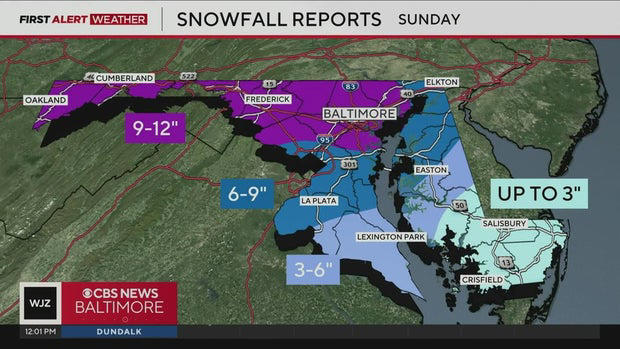 How much snow fell in Maryland? Snowfall totals for Sunday's winter storm.