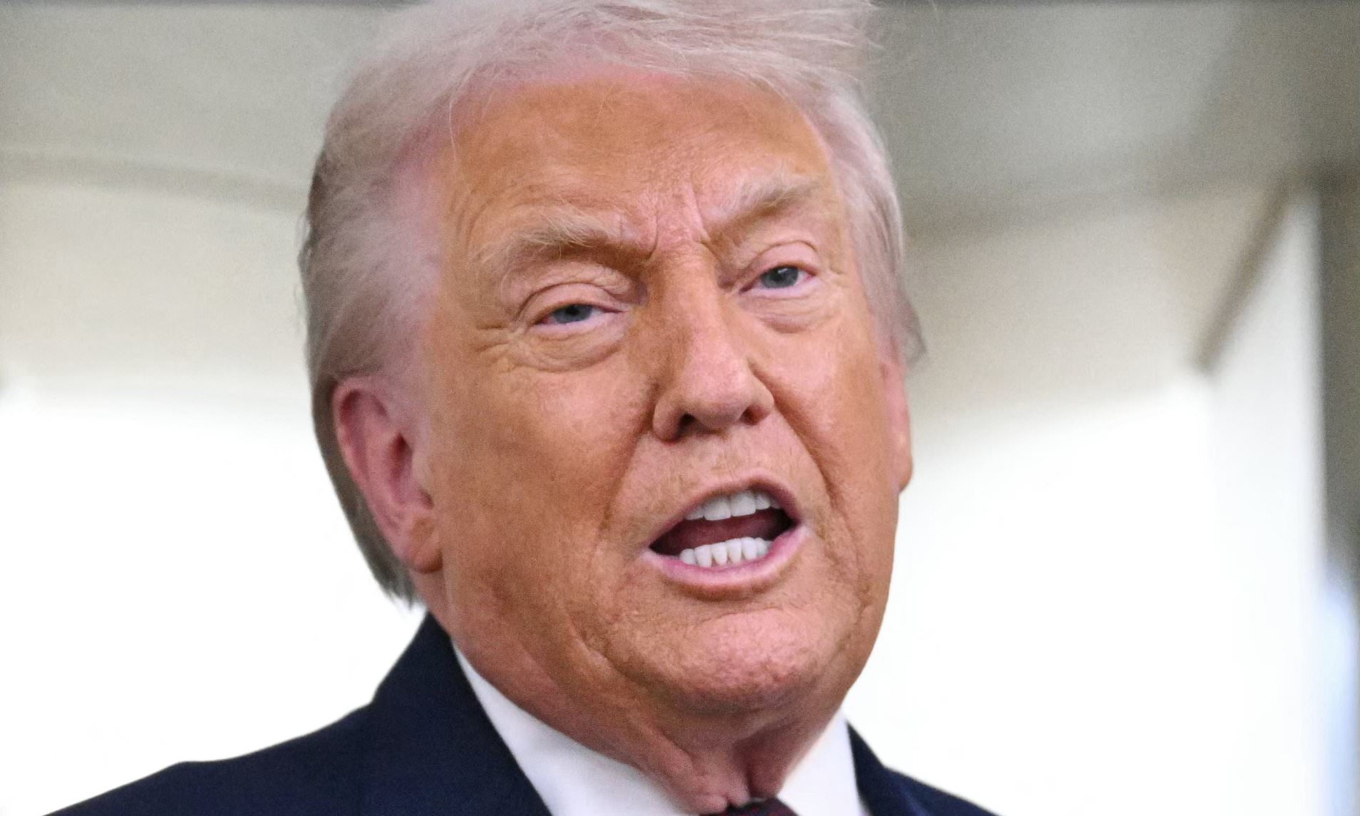 Trump agrees to pull ICE out of Minnesota and allow cops to probe ...