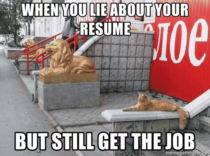 52 Hilarious Resume Memes That Might Be Painfully Relatable