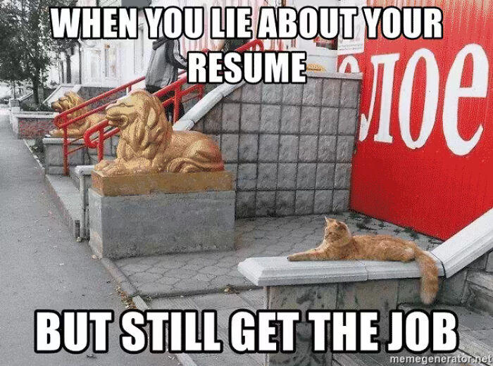 52 hilarious resume memes that might be painfully relatable