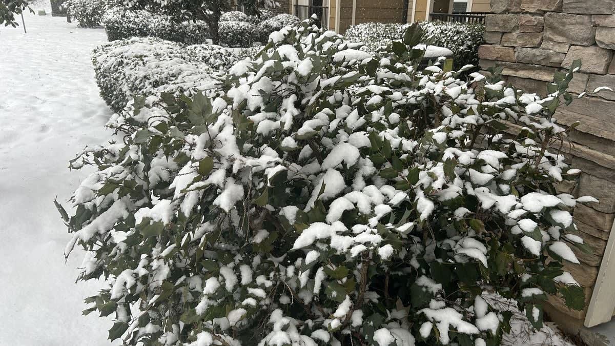 Many without power in Tennessee as cold weather persists<br><br>