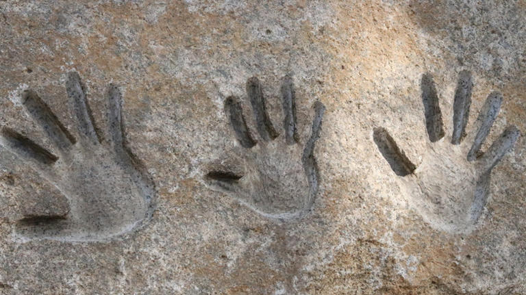 Add a fun personal touch to your yard with these DIY stepping stone ideas