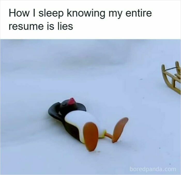 52 Hilarious Resume Memes That Might Be Painfully Relatable