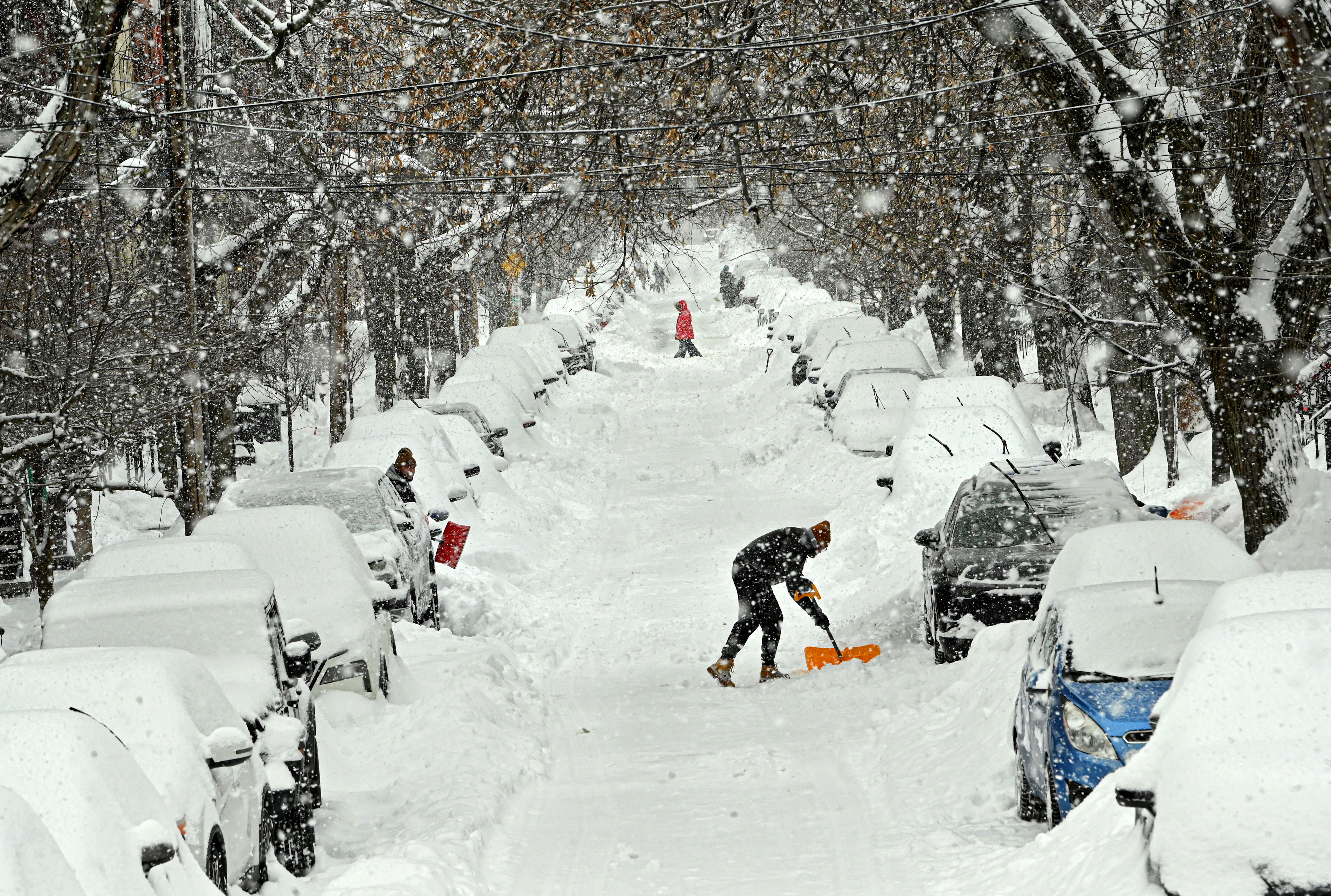 How to survive winter