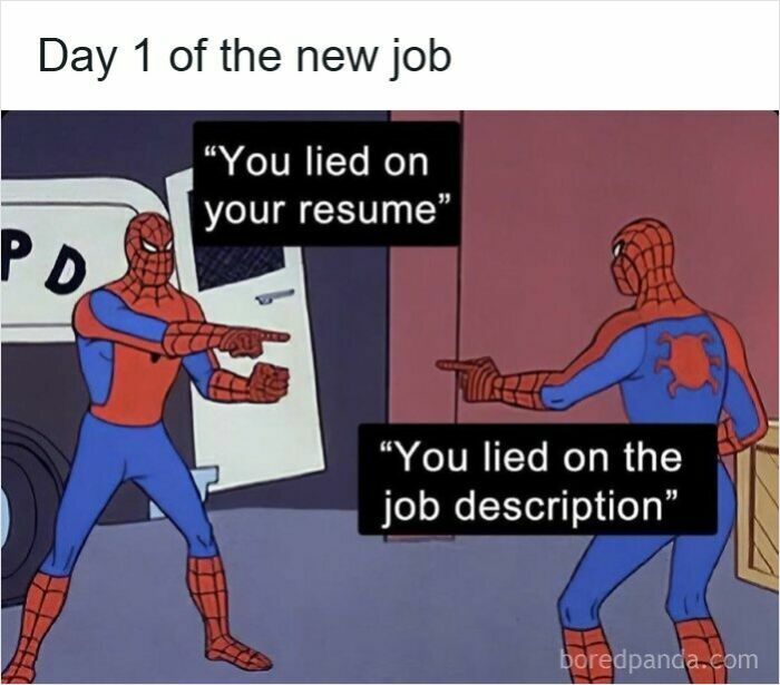 52 Hilarious Resume Memes That Might Be Painfully Relatable