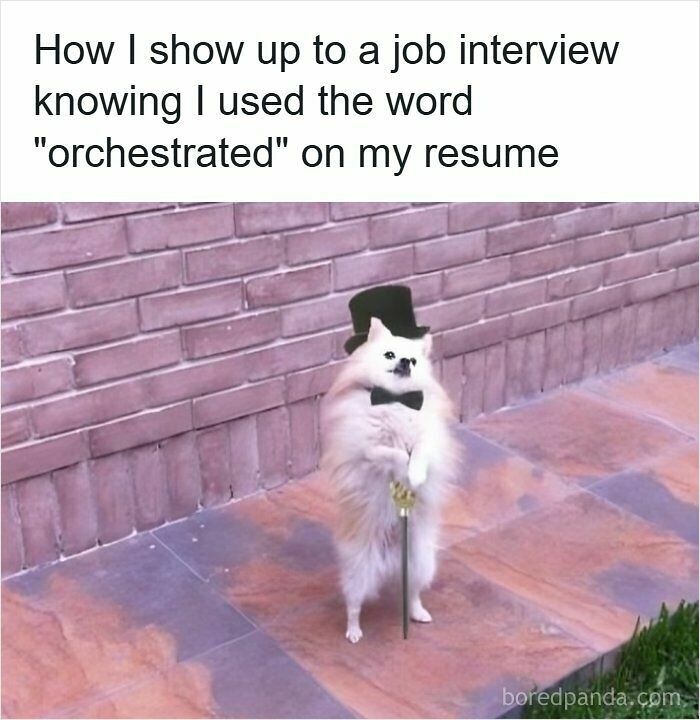 52 Hilarious Resume Memes That Might Be Painfully Relatable