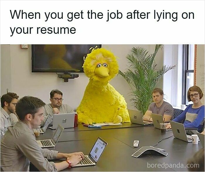 52 Hilarious Resume Memes That Might Be Painfully Relatable